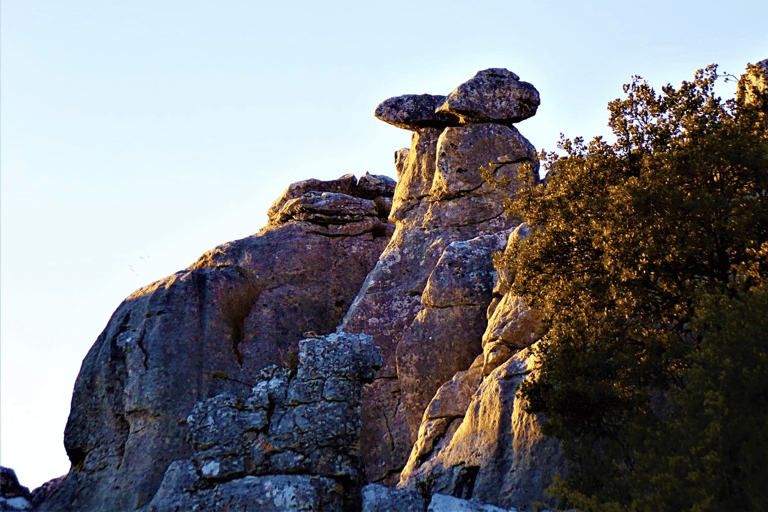 Z Granady: Lobo Parque i Torcal de Antequera, wycieczka przygodowaZ Granady: Lobo Parque i Torcal of Antequera