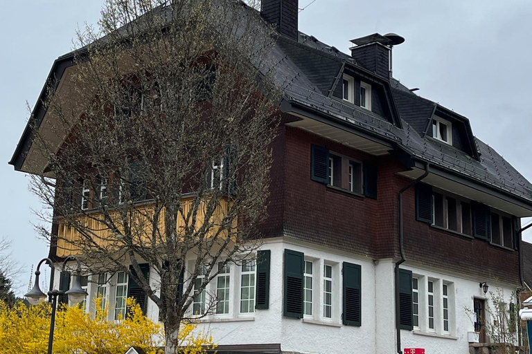 Vanuit Bazel: privé-excursie naar het Zwarte Woud, watervallen en meren