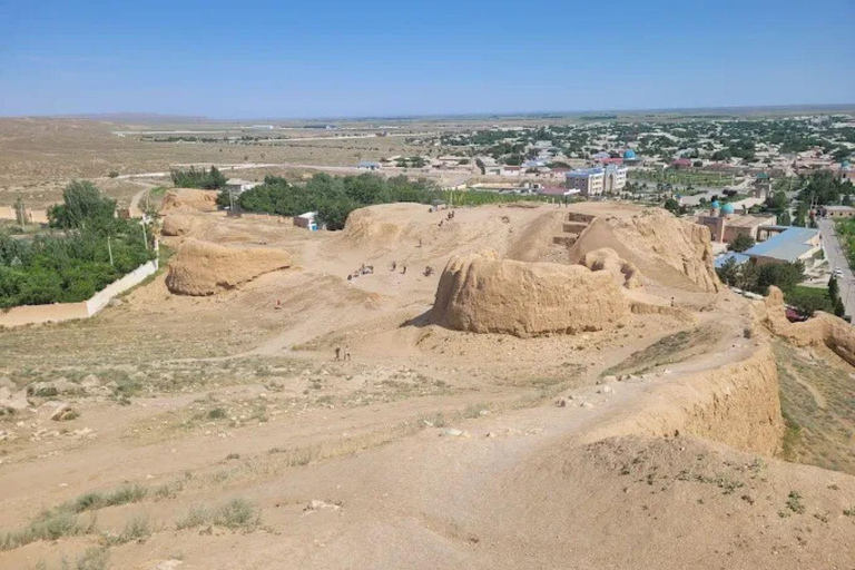 Bukhara: Nurata, Sarmyshsoy Petroglyphs & Gijduvan Day Trip Tour to Sarmyshsoy Gorge with a Small Group