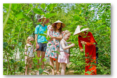 Hoi An: Herstellung von Seidentüchern - Halbtägige TourGruppentour (max. 15 Personen/Gruppe)