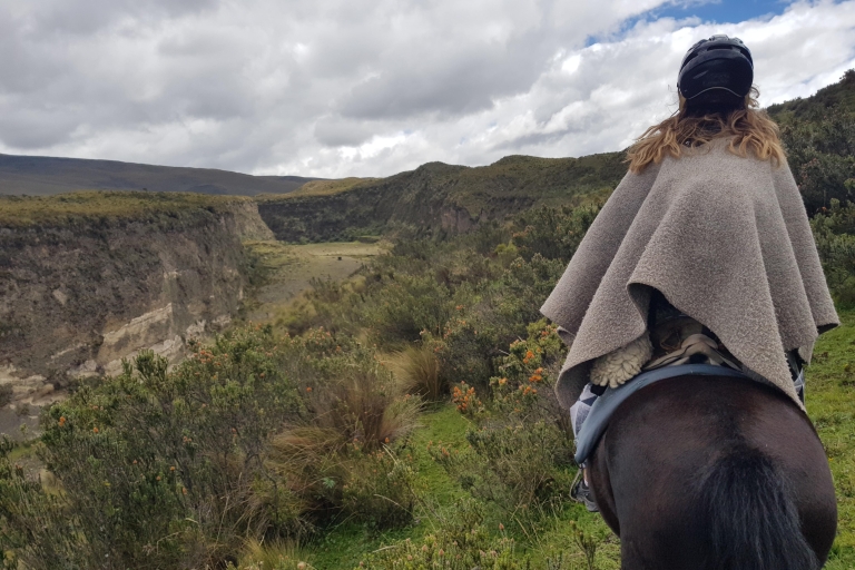 Randonnée à cheval dans le parc national du CotopaxiExcursion au volcan Cotopaxi : 2 heures d'équitation