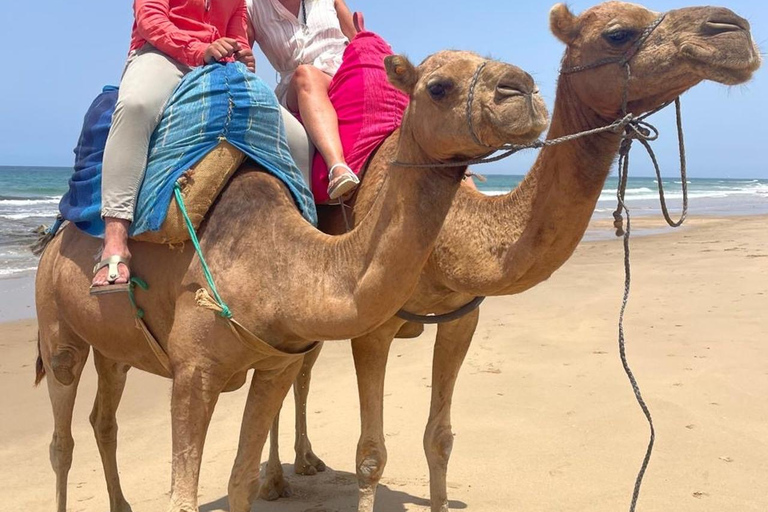 Tangier: Tour with a Certified Local Guide