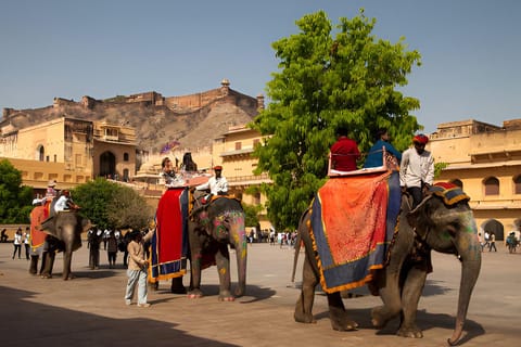 Jaipur Full Day Tour with Pickup & Drop-off in Agra or Delhi