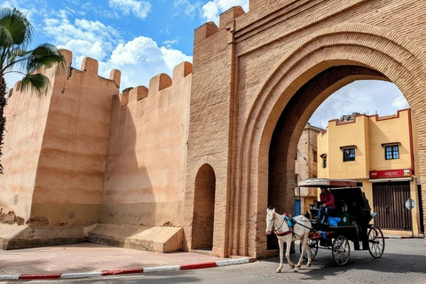 From Agadir: Taroudant and Tiout Oasis Day Trip with Lunch