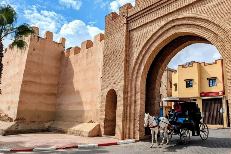 From Agadir: Taroudant and Tiout Oasis Day Trip with Lunch