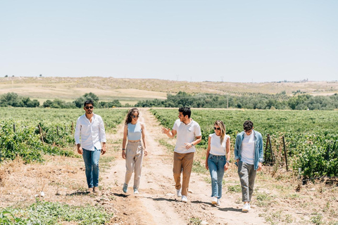 From Toledo: Guided Walking Tour, Winery Visit and Tasting Only Winery Visit - Spanish Guide