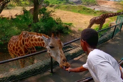 Mombasa: Wandeling met gids langs giraffen in Haller Park.