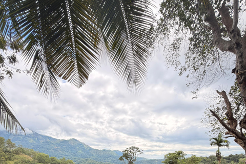 Ella: NineArches Bridge,Mini adam's peak and Waterfalls Tour