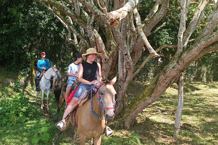 De Medellín:Tour a caballo+Visita Santa Fe de AntioquiaDepuis Medellin : Paseo a caballo+Visita Santa Fe de Antioquia