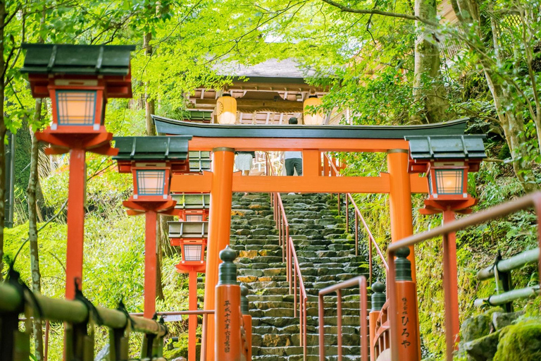 Tokyo: Private 1-Day Tour with English-Driver, Customizable