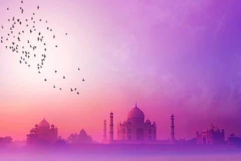 From Delhi: Agra, Bharatpur, and Bird Sanctuary 2-Day Tour