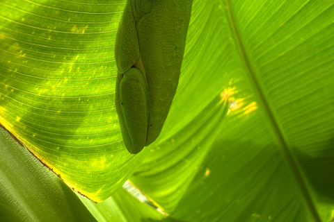 From San José: 3-Day Costa Rica Volcanoes & Waterfalls Tour