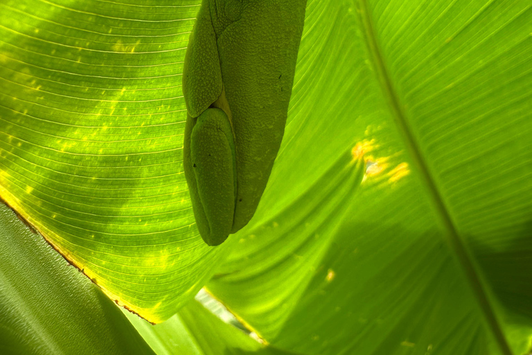 From San José: 3-Day Costa Rica Volcanoes & Waterfalls Tour
