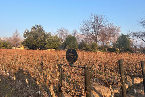 Aylan Family Wines | The Sunset Tour