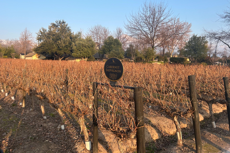 Aylan Family Wines | The Sunset Tour