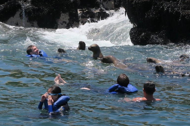 Lima: Tour a Isla Palomino Aventura Marina