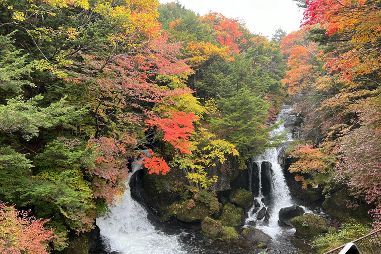 Excursão de um dia de Tóquio a Nikko, Patrimônio Mundial, com guia em inglês