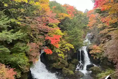 Excursion d'une journée de Tokyo à Nikko (patrimoine mondial) avec guide anglais