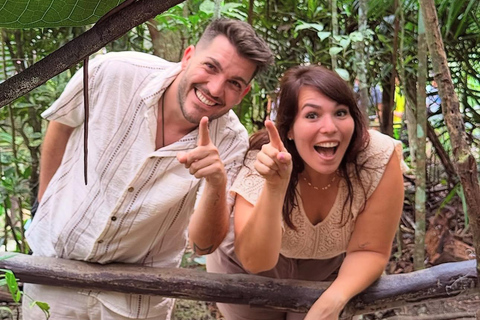 Bohol: Premium Chocolate Hills, Tarsiers &amp; River Experience