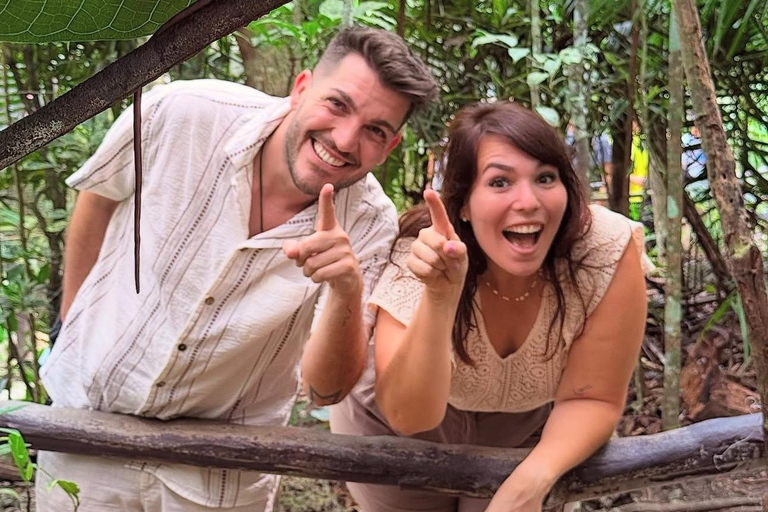 Bohol: Premium Chocolate Hills, Tarsiers &amp; River Experience