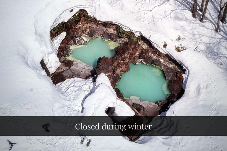 Private Tour to Togakushi Shrine, Castle, Sushi & Onsen From Nagano: Togakushi Shrine & Sushi Lunch