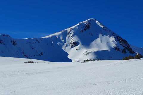 From Sofia: Pirin Mountain Guided Hike