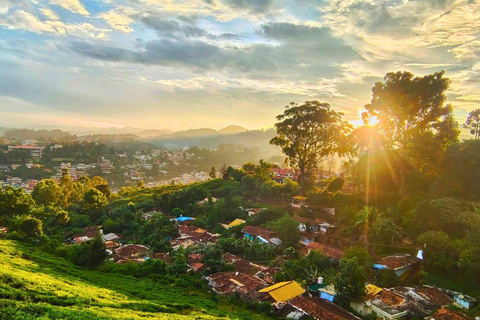 From Chennai: 12-Day Private Tour to Cochin with 3-Star Stay Chennai to Cochin 12 Days Private Tour with 3* Hotels