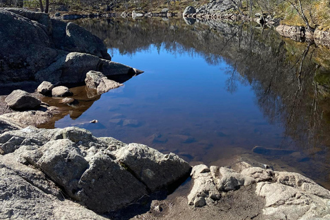 Preikestolen met hotel of ophaalservice vanaf je hotel met gids