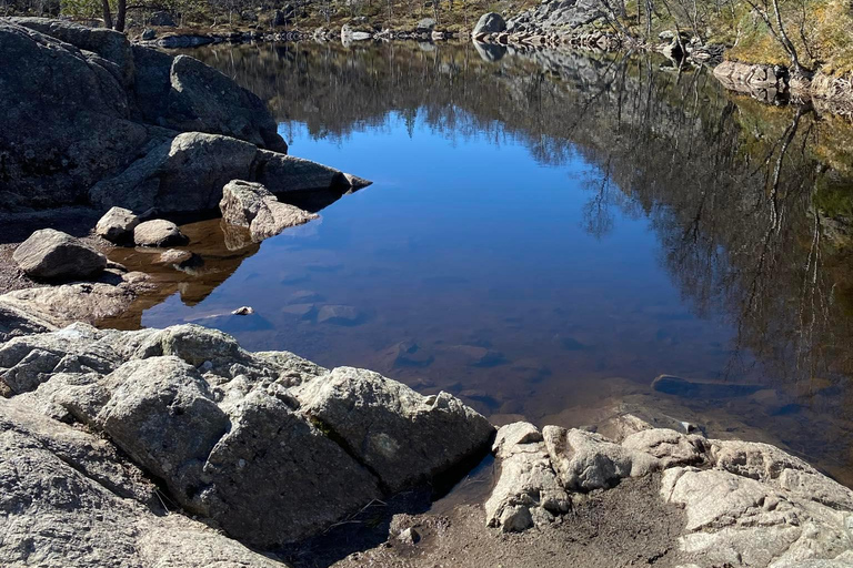 Preikestolen z odbiorem z hotelu lub statku z przewodnikiem