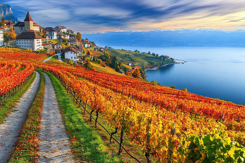 Private day trip: Geneva to Lavaux Vineyards, Nyon & back