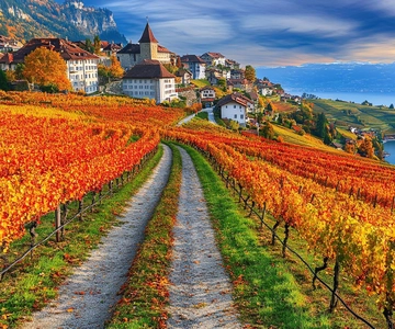 Dagtrip met eigen auto: Bern naar Lausanne, Lavaux & Grueyeres