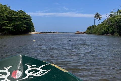Balapitiya: Bootstour auf dem Madu-Fluss