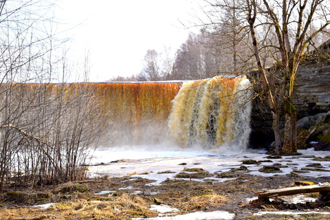 Scopri l&#039;Estonia - tour in auto alla palude di Viru e alle cascate.