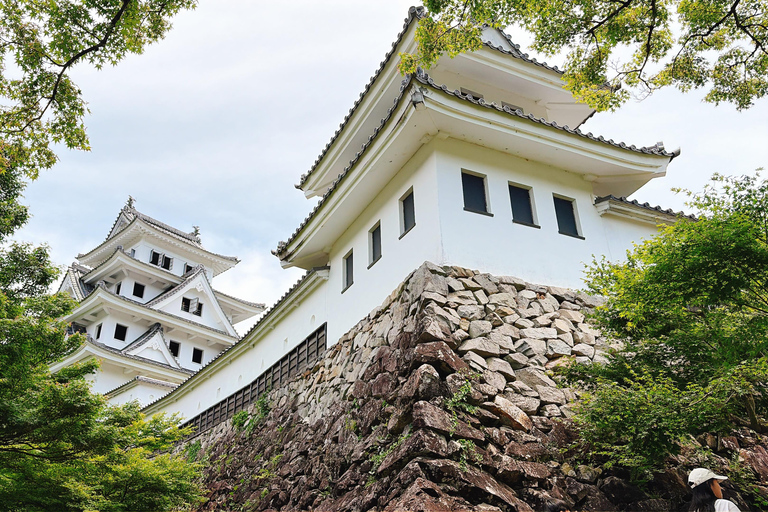 Gujo Hachiman Day Trip: Mountain Castle & Traditional Town The popular Gujyo town tour