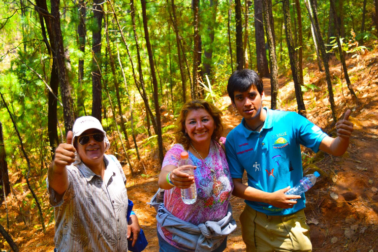 Valle de Bravo: Aventura de senderismo por el bosque