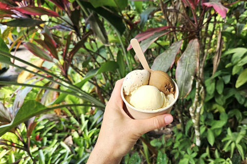 Cairns: Daintree Rainforest & Cape Tribulation Minibus Tour Cairns CBD Hotel Pickup