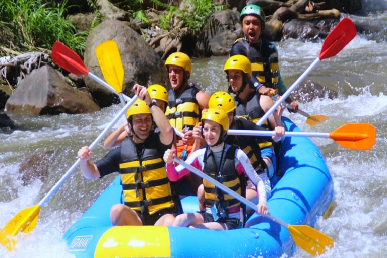 Ubud: Avventura in zip-line, rafting e tour delle terrazze di risoTour con zip-line e terrazze di riso (senza rafting)