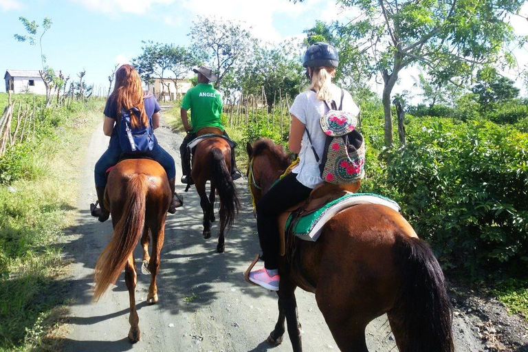 From Puerto Plata: Horseback ride along the mountain river