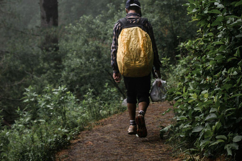 Kathmandu - Shivapuri Day Hike with Lunch Short and Easy Hike to Bishnudwar with Lunch