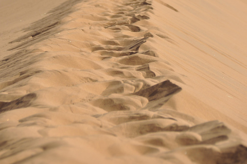 From Swakopmund: 2-Day Sossusvlei Scenic Journey (1 Night)