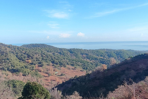Panoramic breakfast, Santa Lucia Di Moriani