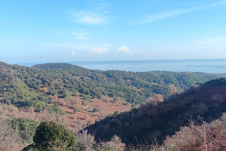 Panoramic breakfast, Santa Lucia Di Moriani