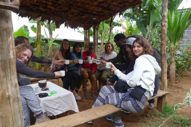 Kilimandscharo: Materuni-Wasserfälle & Kaffeetour mit LunchWasserfälle und Kaffeetour mit Abholung in Arusha