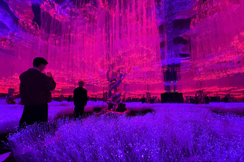 Hanoi: X Space Immersive Digital Art Experience Entry Ticket
