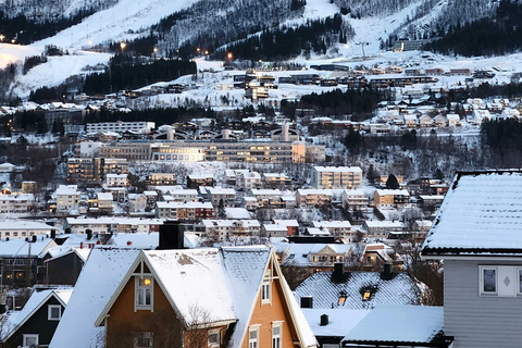 Desde Kiruna Excursión de un día a la ciudad y el fiordo de Narvik