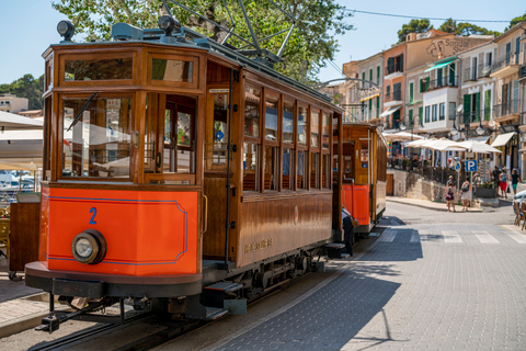 Mallorca: Island Tour with Boat, Tram &amp; Train from the South