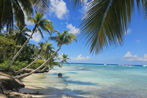 VIP tour to Saona Island by speedboat with a visit to paradise beaches SAONA ISLAND VIP SPANISH