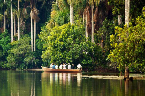 Aventure de 4 jours dans la forêt amazonienne