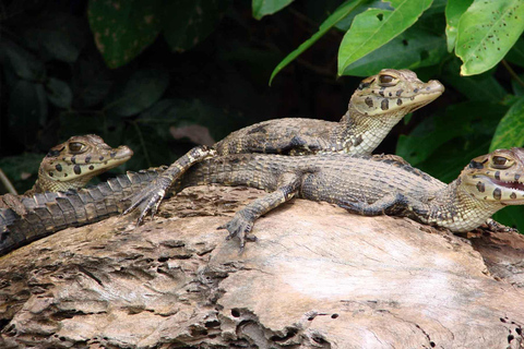 Tambopata National Reserve 4 Days