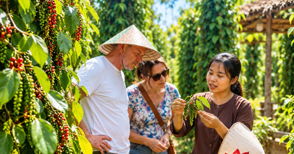 Phu Quoc: Pepper Farm Experience, Tastings & Cooking Class - 2026 (Verified Reviews)
